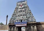 Thyagaraja Temple (Vadivudai Amman Temple / Adhipureeswarar Temple)
